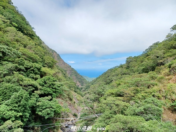 20220603_091110.jpg 20220603_091110.jpg