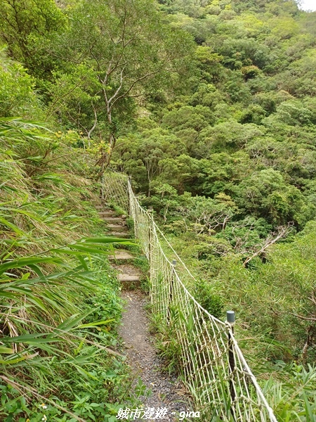 20220603_091035.jpg 20220603_091035.jpg