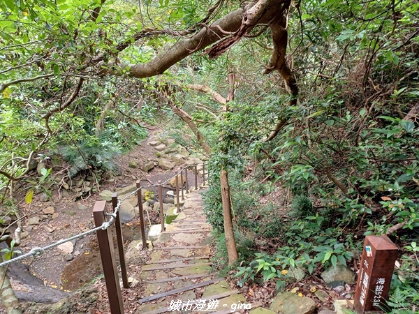 【屏東獅子】山海相望。 小百岳集起來。 No80小百岳~里龍