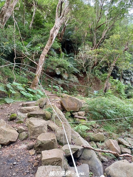 20220603_095301.jpg 20220603_095301.jpg