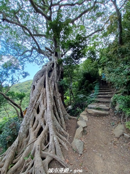 20220603_100428.jpg 20220603_100428.jpg