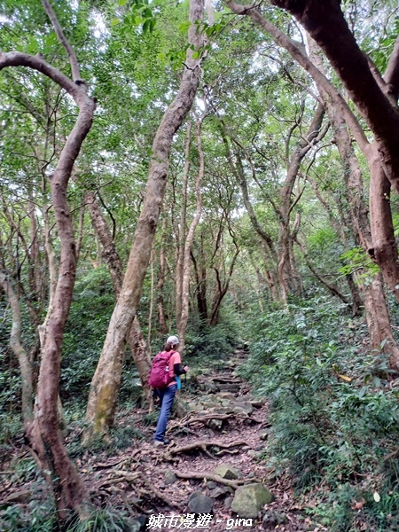 【屏東獅子】山海相望。 小百岳集起來。 No80小百岳~里龍