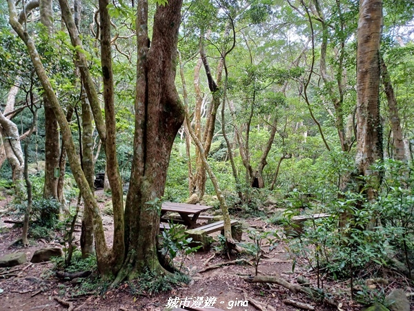 【屏東獅子】山海相望。 小百岳集起來。 No80小百岳~里龍