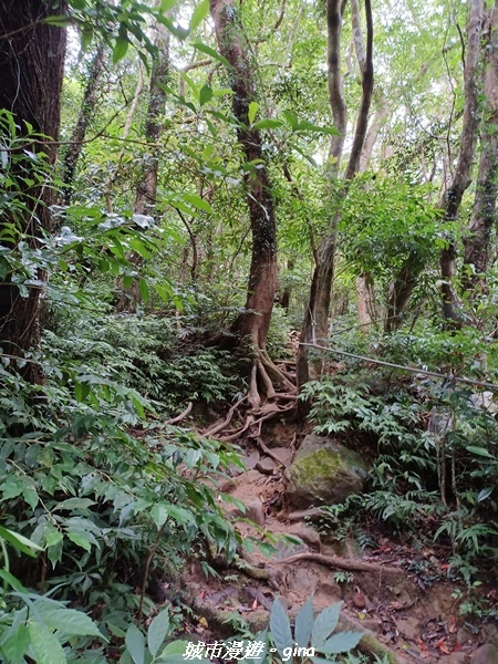 【屏東獅子】山海相望。 小百岳集起來。 No80小百岳~里龍