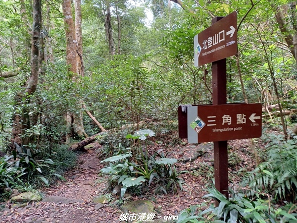 【屏東獅子】山海相望。 小百岳集起來。 No80小百岳~里龍