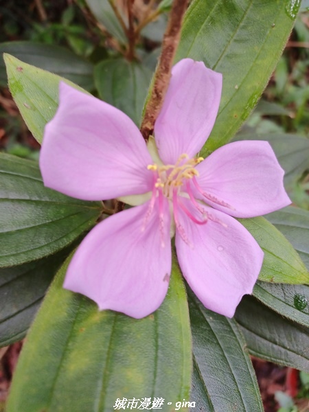 20220603_111157.jpg 20220603_111157.jpg