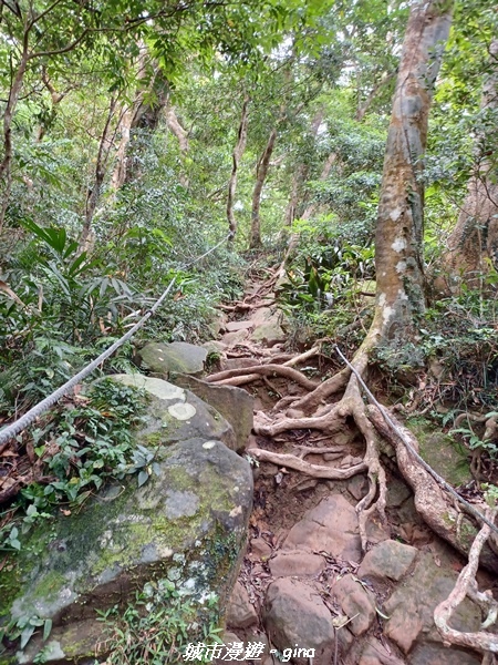 【屏東獅子】山海相望。 小百岳集起來。 No80小百岳~里龍