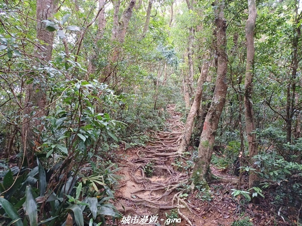 20220603_112319.jpg 20220603_112319.jpg