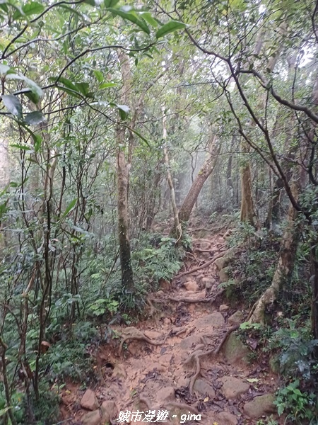 20220603_113635.jpg 20220603_113635.jpg