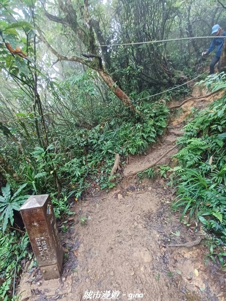 20220603_121012.jpg 20220603_121012.jpg