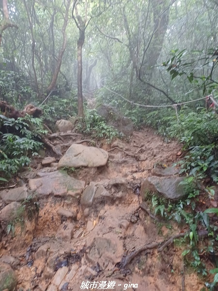 20220603_120025.jpg 20220603_120025.jpg