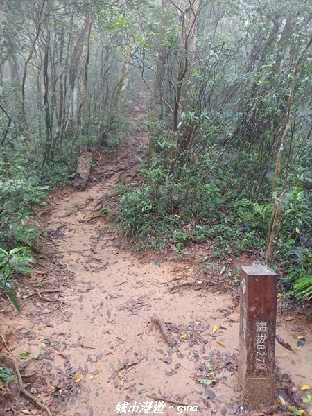 20220603_113517.jpg 20220603_113517.jpg