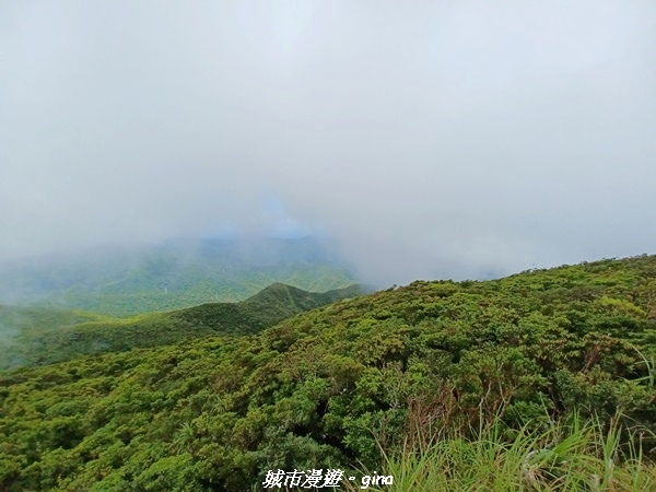 20220603_123118.jpg 20220603_123118.jpg