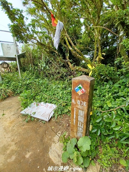 20220603_124753.jpg 20220603_124753.jpg