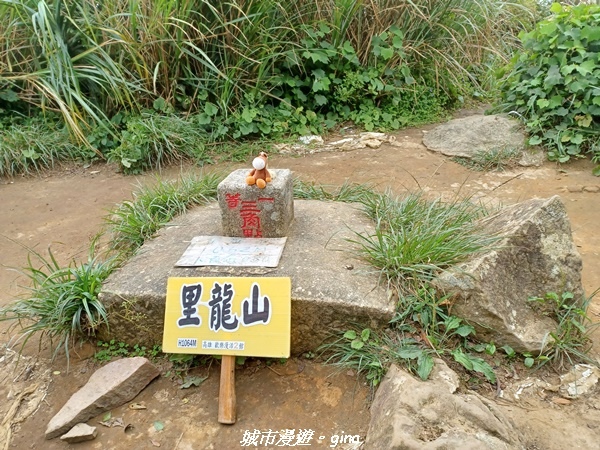 20220603_125337.jpg 20220603_125337.jpg