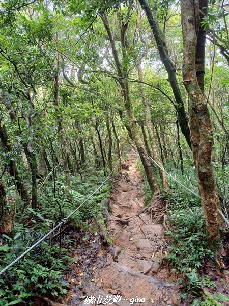 20220603_132202.jpg 20220603_132202.jpg