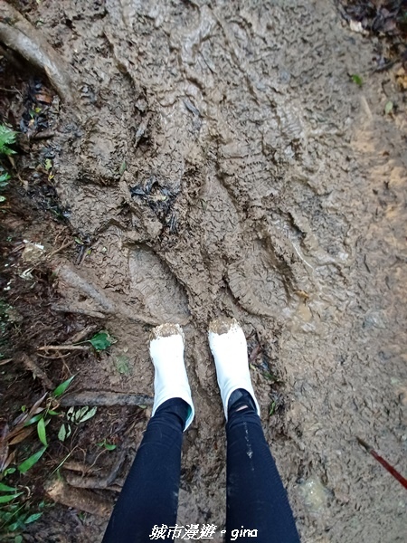 20220603_130656.jpg 20220603_130656.jpg