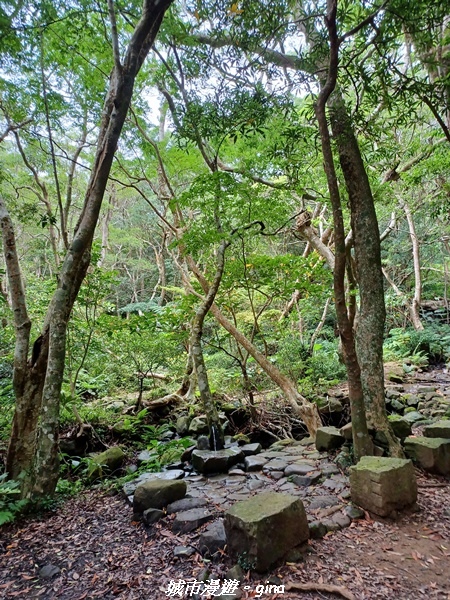 20220603_140656.jpg 20220603_140656.jpg