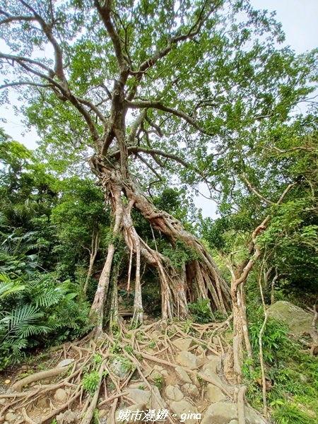 20220603_143546.jpg 20220603_143546.jpg