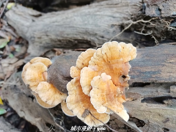 20220603_143207.jpg 20220603_143207.jpg