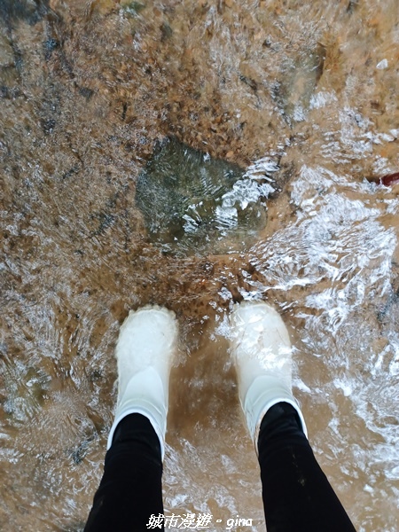 20220603_140903.jpg 20220603_140903.jpg