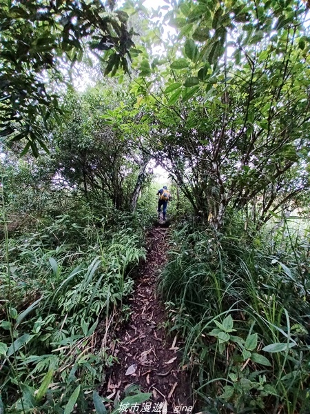 【花蓮富里】騎車比爬山還累。 小百岳集起來。  No92小百