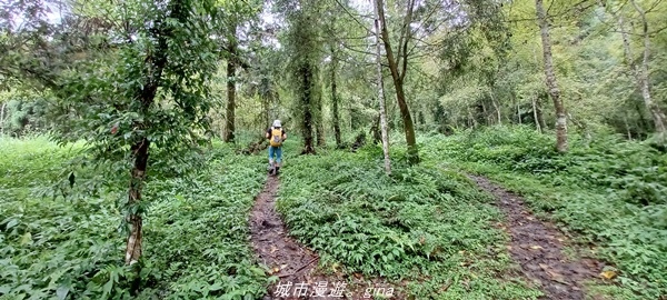 【花蓮吉安】悠靜。 小百岳集起來。No88小百岳-初音山步道