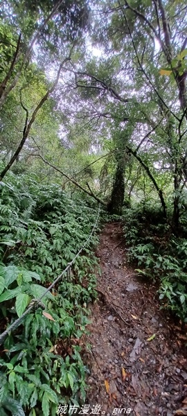 【花蓮吉安】悠靜。 小百岳集起來。No88小百岳-初音山步道