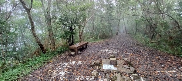 【花蓮壽豐】適合全家健行的步道。 小百岳集起來。 No90小