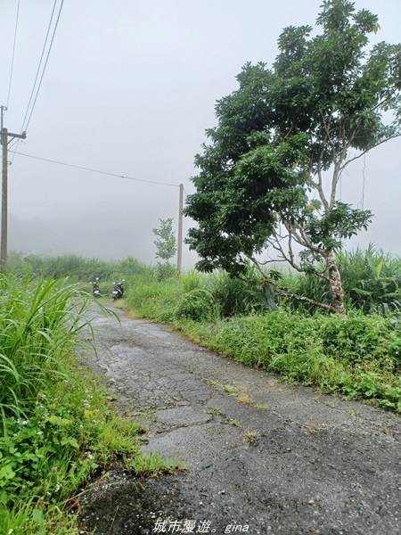 【花蓮壽豐】適合全家健行的步道。 小百岳集起來。 No90小