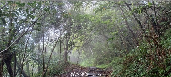 【花蓮壽豐】適合全家健行的步道。 小百岳集起來。 No90小