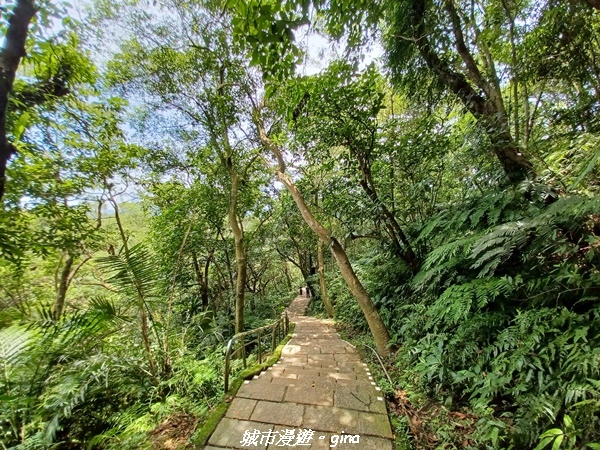 【台北信義】搭捷運爬山趣。 No13小百岳_南港山步道