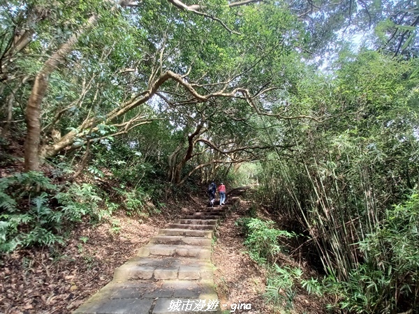 20220618_140133.jpg 20220618_140133.jpg