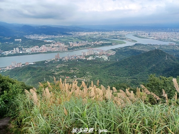 20220618_140132.jpg 20220618_140132.jpg