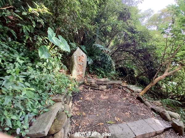 20220618_150456.jpg 20220618_150456.jpg