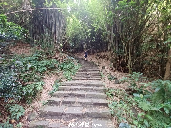 20220618_151558.jpg 20220618_151558.jpg