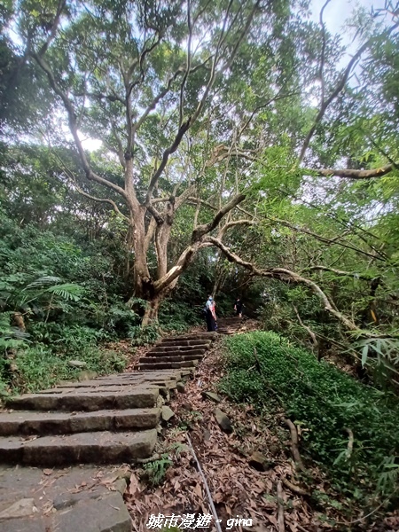 【新北八里】搭捷運公車爬山趣。 No5小百岳-八里觀音山(硬