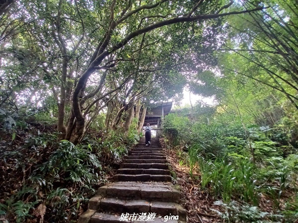 20220618_152014.jpg 20220618_152014.jpg