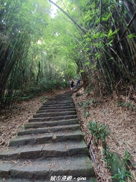 20220618_151632.jpg 20220618_151632.jpg