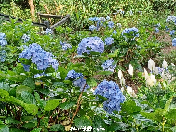 20220618_152706.jpg 20220618_152706.jpg