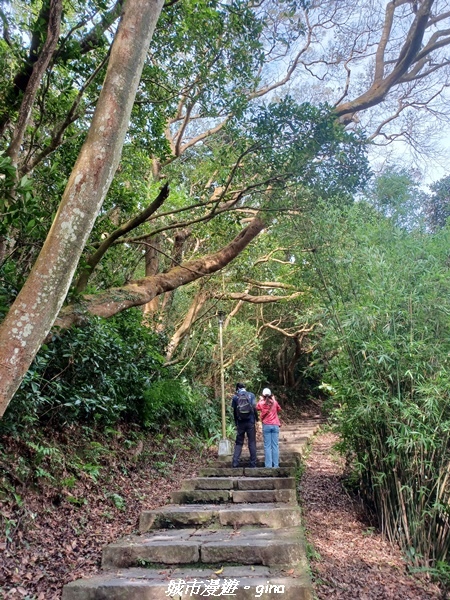 20220618_152323.jpg 20220618_152323.jpg