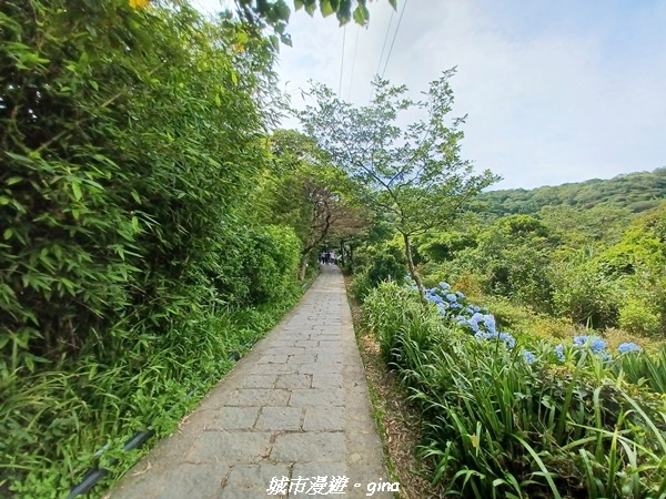 20220618_152931.jpg 20220618_152931.jpg