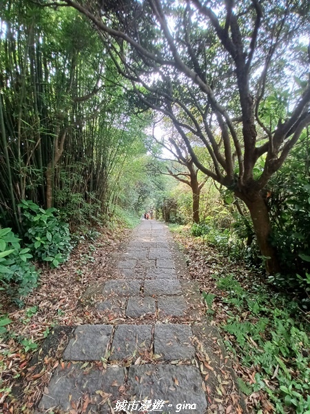 20220618_152802.jpg 20220618_152802.jpg