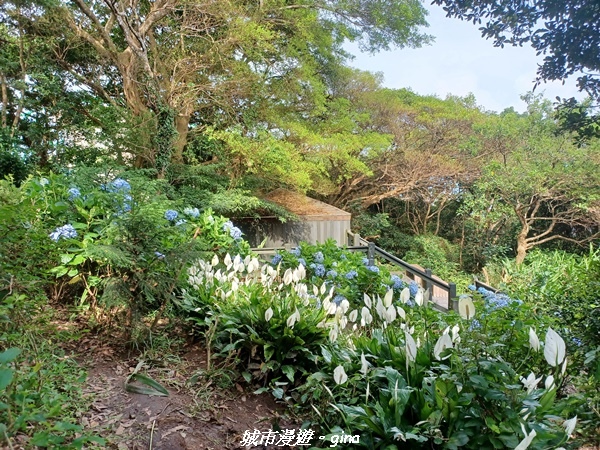 20220618_152651.jpg 20220618_152651.jpg