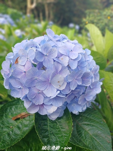 20220618_153326.jpg 20220618_153326.jpg