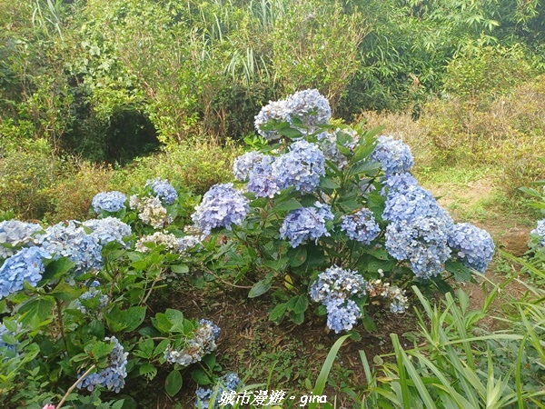 20220618_152944.jpg 20220618_152944.jpg