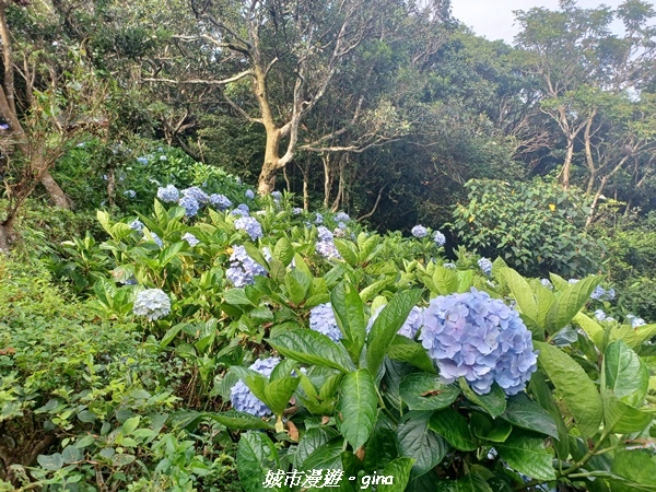 20220618_153332.jpg 20220618_153332.jpg