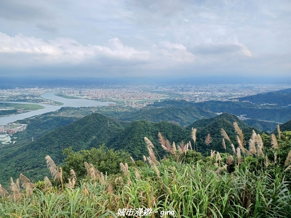 20220618_154605.jpg 20220618_154605.jpg