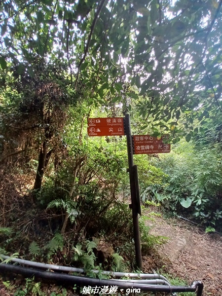 20220618_161250.jpg 20220618_161250.jpg