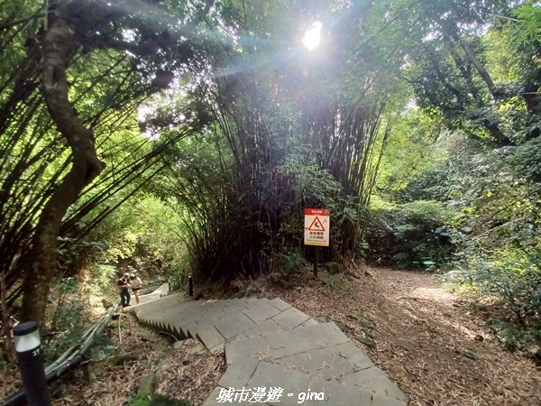 20220618_161301.jpg 20220618_161301.jpg